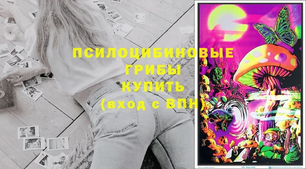 прущие грибы Абдулино