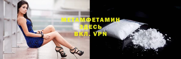 прущие грибы Абдулино
