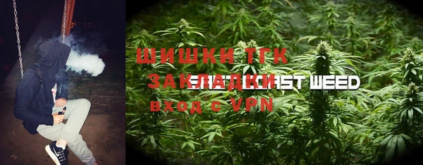 сатива Алексеевка