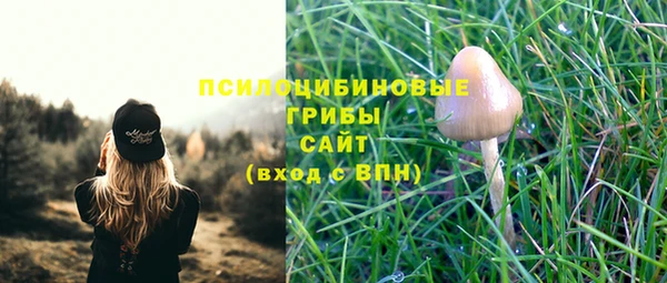стафф Абаза