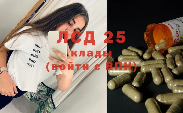 прущие грибы Абдулино
