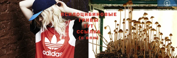 индика Алзамай