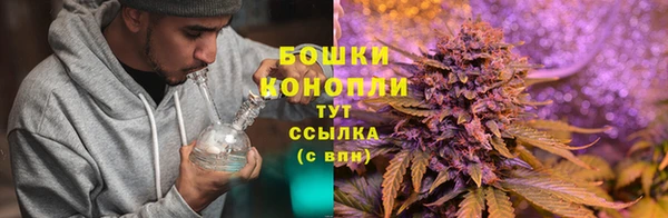 прущие грибы Абдулино