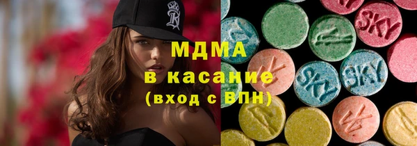 индика Алзамай